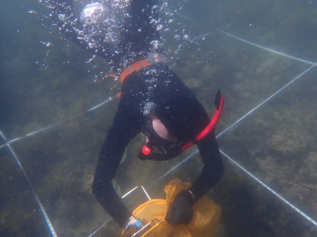 Health Monitoring on the Great Barrier Reef